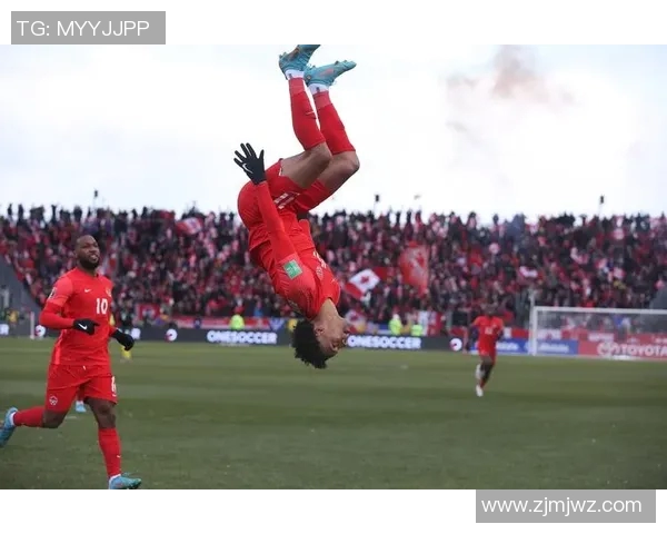 加拿大有哪些著名的足球球星以及他们在国际赛场的表现